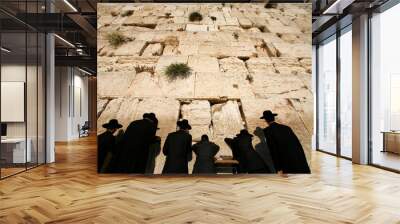 Ultra-orthodox Jewish men pray at the Western Wall in the Old City of Jerusalem<<; Jerusalem. Israel. Wall mural